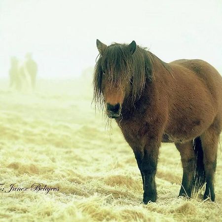 Efri-Gegnishólar Hotel Selfoss Kültér fotó