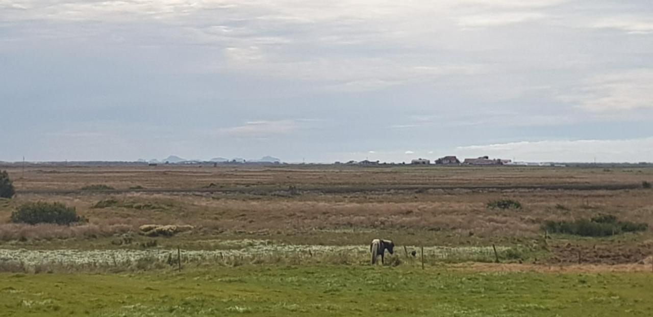 Efri-Gegnishólar Hotel Selfoss Kültér fotó